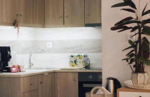 Karpenisi Apartment | 43 m² Apartment ∙ 1 bedroom ∙ 2 guests
