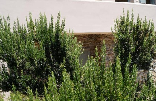 Agios Romanos House | 45 m² House ∙ 1 bedroom ∙ 3 guests