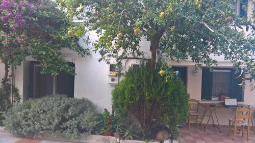 Spata-Artemida House | 49 m² House ∙ 1 bedroom ∙ 4 guests