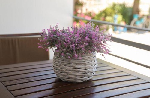 Eleonas Apartment | 60 m² Apartment ∙ 2 bedrooms ∙ 6 guests