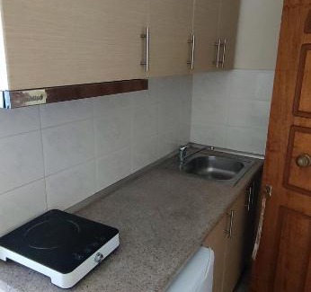 Olymbiaki Akti Apartment | Alexander