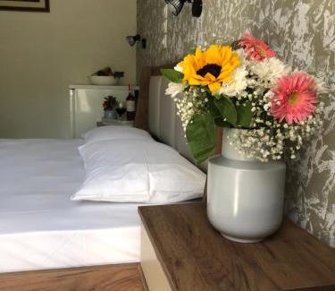 Skiathos House | Armonia Guest House Skiathos