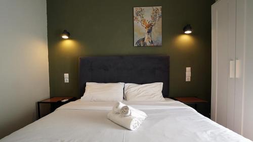 Omonia Apartment | athens city themis 11