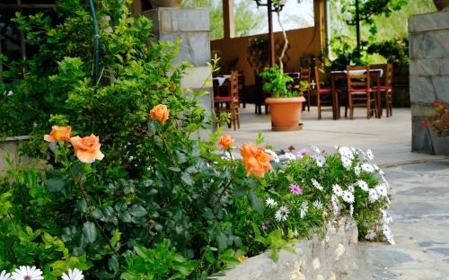 Misiria House | Athina
