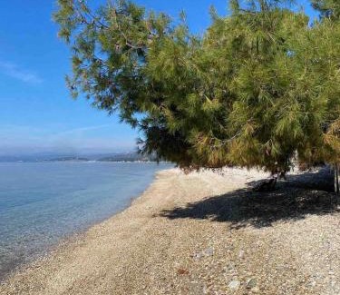 Elia Apartment | Elia Sithonia Apartment