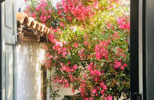 Skiathos House | Fairytale