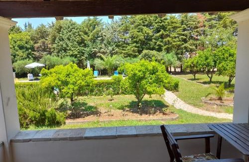 Petaleia Apartment | Lemontree Apartments