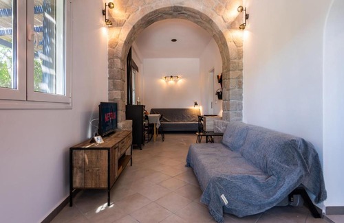 Adamas House | Olive in Blue