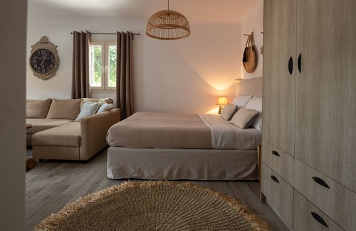 Ano Mera Hotel | Olive Mykonos Villas - Junior Villa