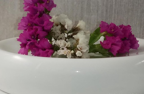 Omonia Apartment | Olivo Athens