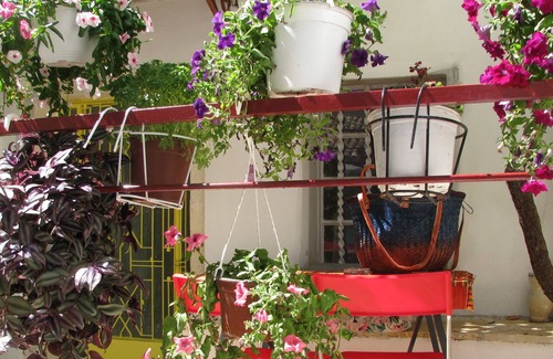Sinarades Apartment | Traditional house Village near relax-beach Shops Country-walks near Corfu town
