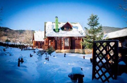 Karpenisi Ski Chalet | 100 m² Chalet ∙ 2 bedrooms ∙ 8 guests