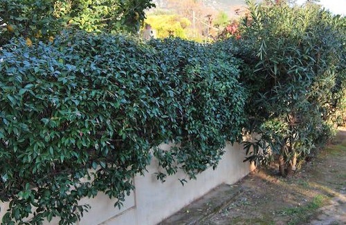 Nea Makri House | 122 m² House ∙ 3 bedrooms ∙ 5 guests