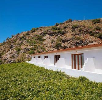 Agios Vasileios Bed & Breakfast | 15 m² Bed and breakfast ∙ 3 guests