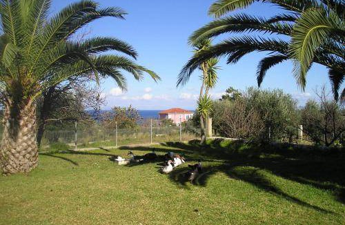 Skala Apartment | 28 m² Serviced apartment ∙ 2 guests