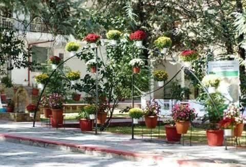 Almopia Bed & Breakfast | 30 m² Bed and breakfast ∙ 2 guests