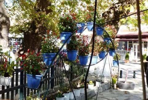Almopia Bed & Breakfast | 30 m² Bed and breakfast ∙ 2 guests