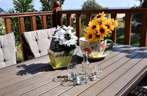 Mikro Hostel | 34 m² Hostel ∙ 4 guests