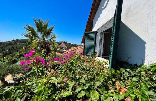 Sivota Apartment | 48 m² Apartment ∙ 2 bedrooms ∙ 4 guests
