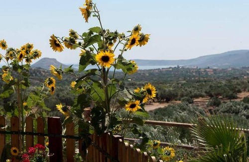 Vigla House | 53 m² House ∙ 1 bedroom ∙ 3 guests