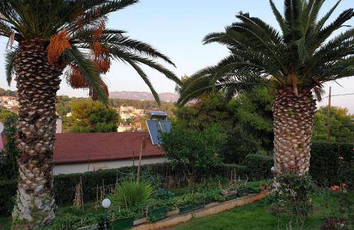 Markopoulo Mesogaias Apartment | 55 m² Apartment ∙ 1 bedroom ∙ 4 guests