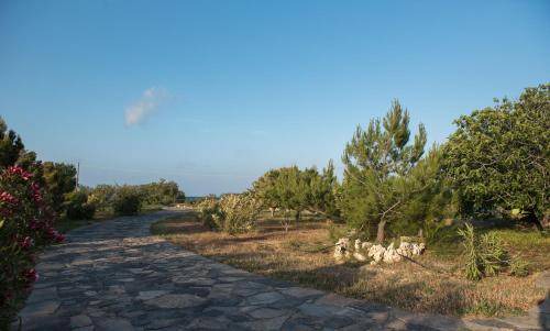 Vigla House | 80 m² House ∙ 1 bedroom ∙ 6 guests