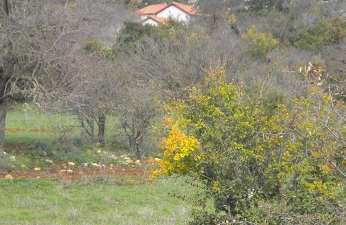 Fokiano House | 95 m² House ∙ 2 bedrooms ∙ 5 guests
