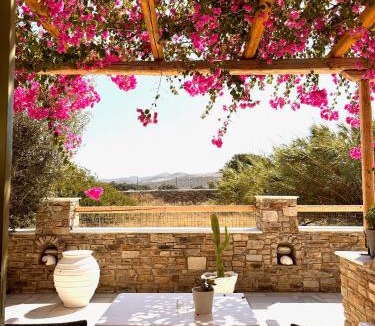 Antiparos Hotel | Aegeo Inn