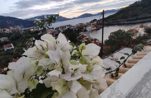 Frourion Apartment | Assos Caldera