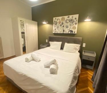 Omonia Apartment | Athens City Themis 10
