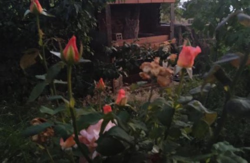 Petralona House | beautiful feelings in a beautiful part of Halkidiki