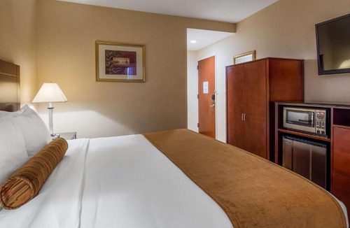Crown Heights Hotel | Best Western PLUS Arena Hotel