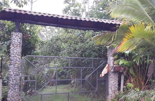 San Miguel House | Breakfast With Toucans And Monkeys