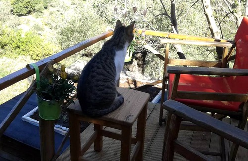 Megali Mantineia Other | Camping ∙ 1 bedroom ∙ 2 guests