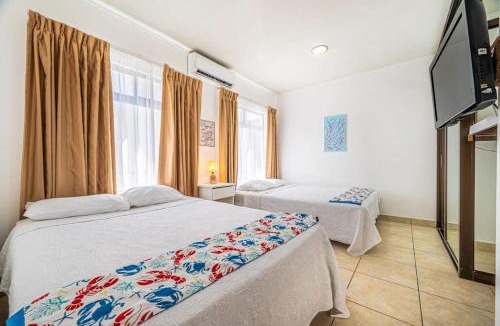 Coco Apartment | Casa Coral
