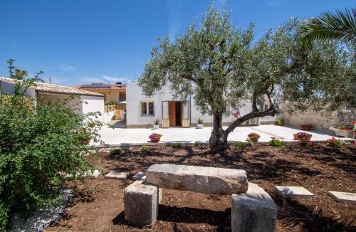 Casa Papa Apartment | Casa vacanza i due ulivi
