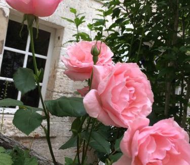 Bourdeilles Bed & Breakfast | Chambres d'Hotes Hostellerie Le Donjon