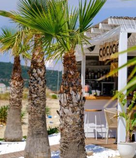 Sarti Hotel | Cocoon Hotel-Beach bar