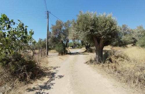 Pallini House | CostasFarmhouse, Pallini, Near Athens Airport