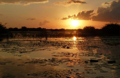 Crooked Tree Hotel | CROOКED TREE LODGE Belize