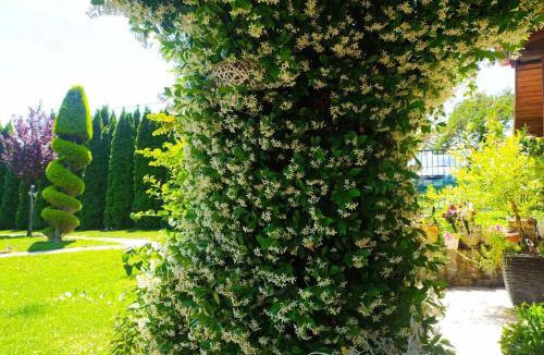 Edessa Apartment | Eden Stay
