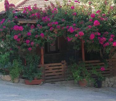 Sivota Apartment | Elena’s House Sivota Lefkadas