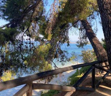 Elia Apartment | Elia Sithonia Apartment