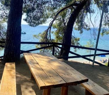 Elia Apartment | Elia Sithonia Apartment