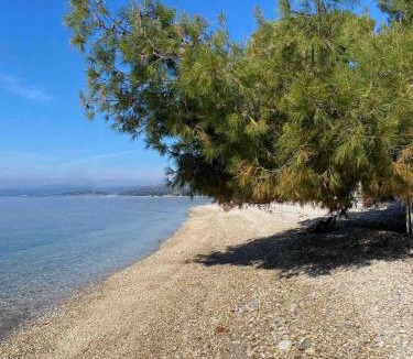 Elia Apartment | Elia Sithonia Apartment