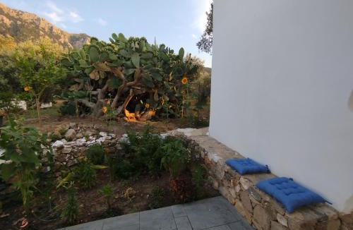 Lagoudi Zia House | Grandpa's place