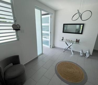 Comerio Villa | Hacienda JM's