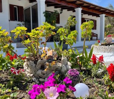 Chalikounas House | IRENE by Antigone