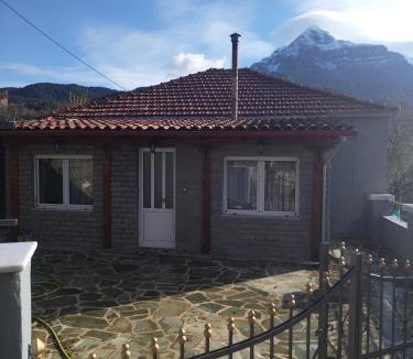 Central Tzoumerka House | J&F village house