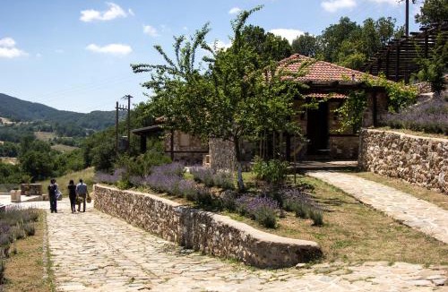 Agios Dimitrios Hotel | Ktima Bellou